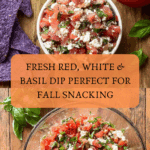 Red, White, & Basil Dip Recipe