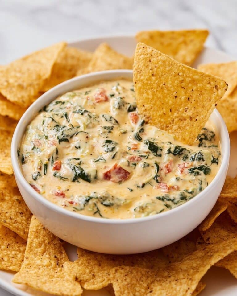 Slow Cooker Queso Spinach Dip Recipe