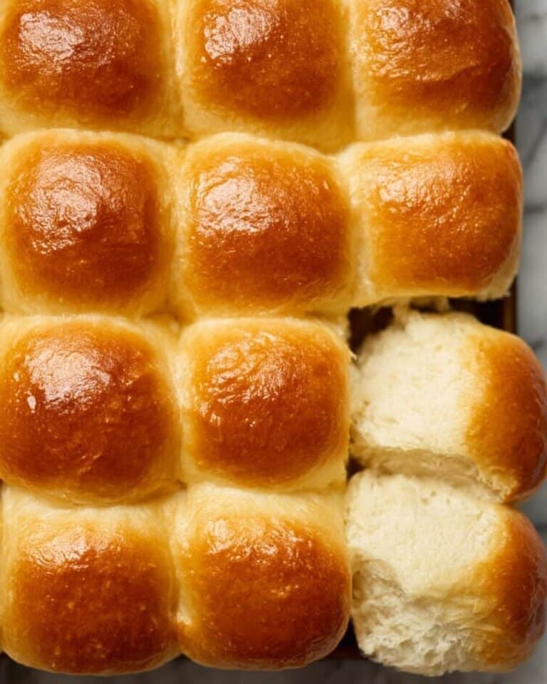 Homemade Dinner Rolls Recipe